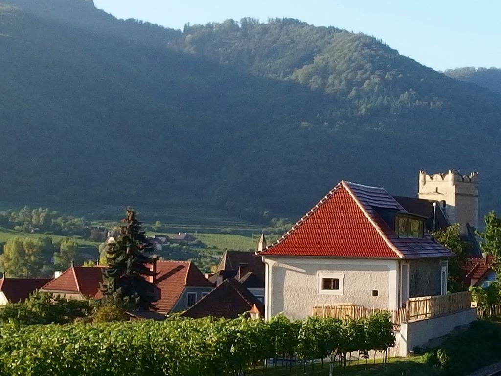 Apartement Schlaf Gut - Mitten In Der Wachau Weissenkirchen in der Wachau Zewnętrze zdjęcie